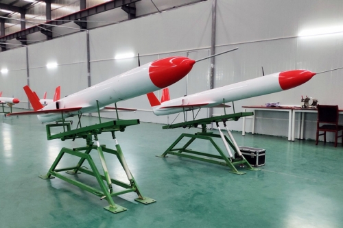 High Subsonic Speed Target Drone